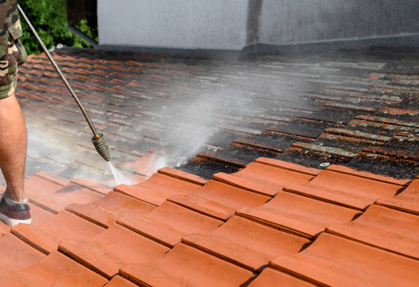 Best Fence Pressure Washing  in Cedar Creek, TX