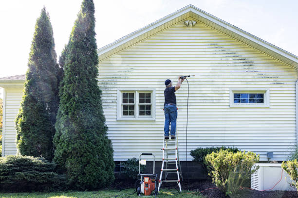 Best Deck Cleaning Services  in Cedar Creek, TX